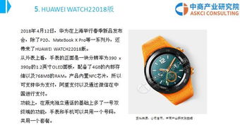 2018年中国智能手表市场前景研究报告